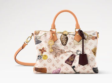 Louis Vuitton Speedy 30 Soft