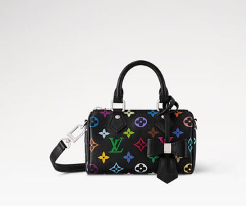 Louis Vuitton LV x TM Nano Speedy Mini Handbag