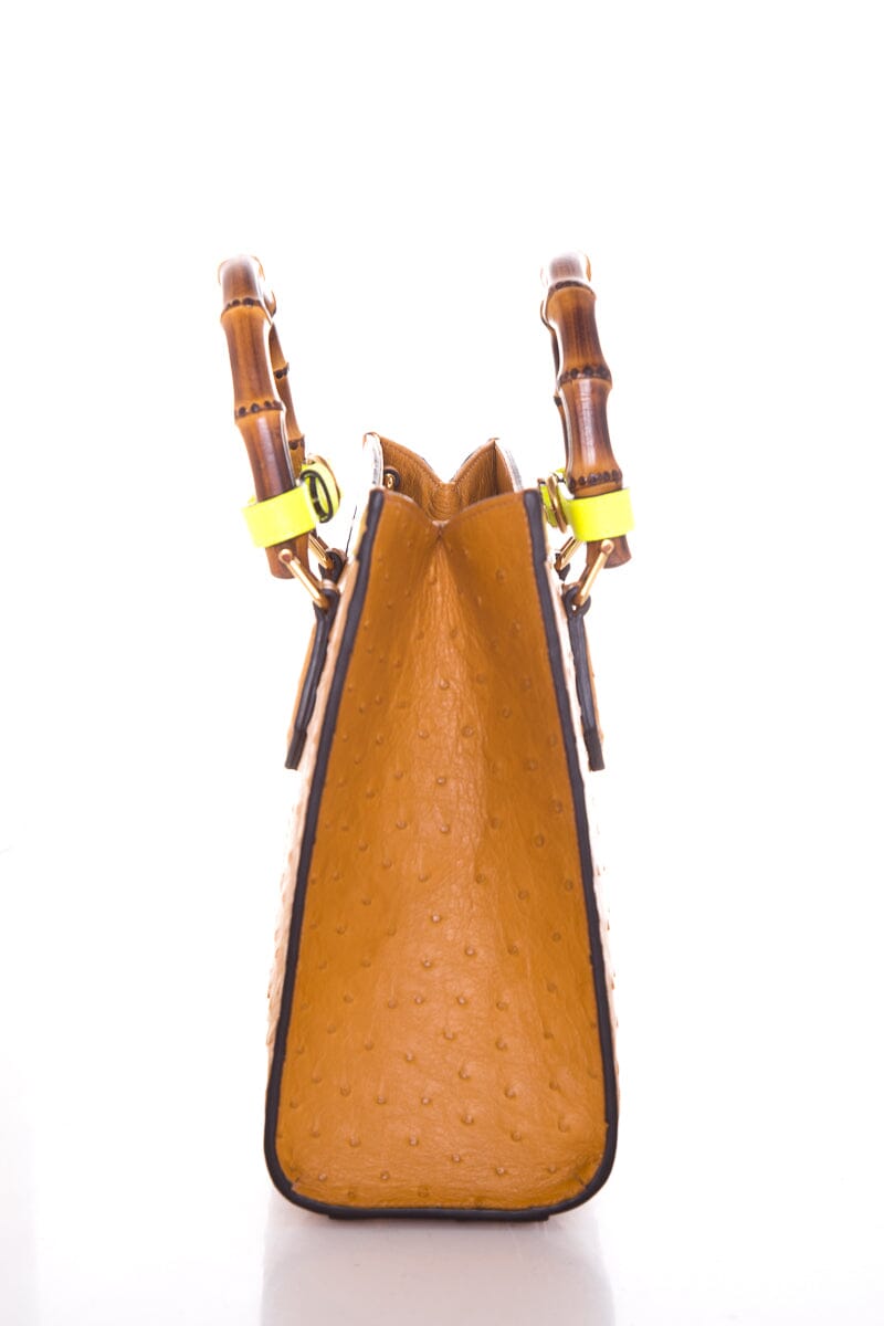 Gucci Mini Diana Tan Ostrich Handbag NWT